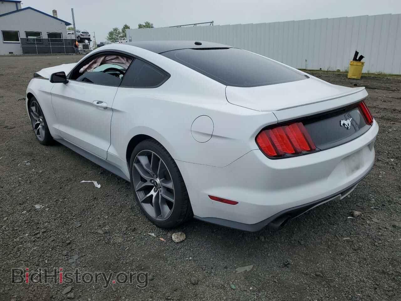 2017 FORD ALL Models - VIN: 1FA6P8TH5H5202925 - Фото 2