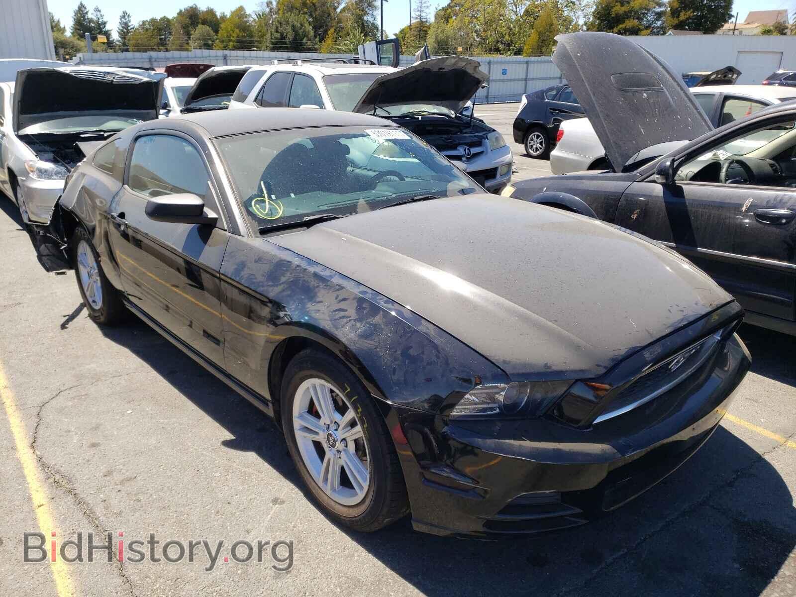 Фотография 1ZVBP8AM0E5241407 - FORD MUSTANG 2014