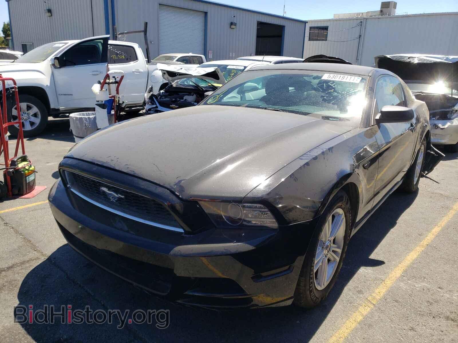2014 FORD MUSTANG - VIN: 1ZVBP8AM0E5241407 - Фото 2
