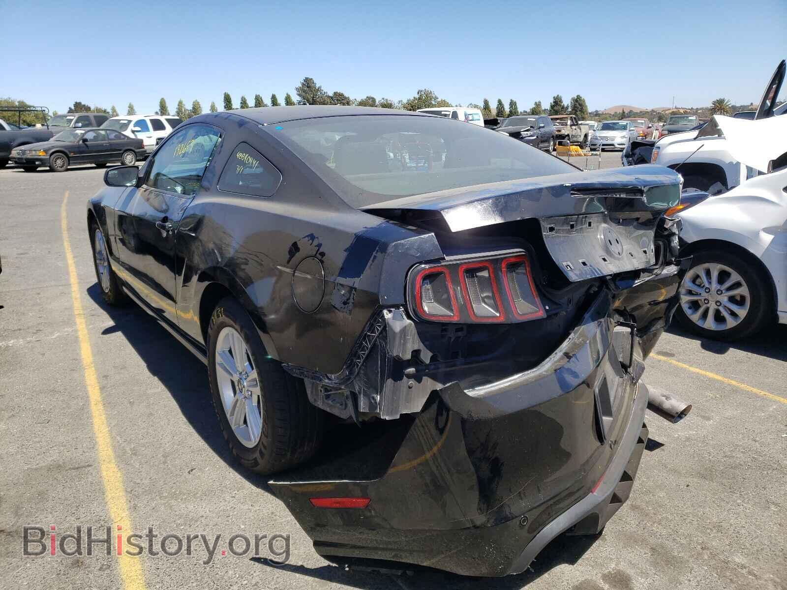2014 FORD MUSTANG - VIN: 1ZVBP8AM0E5241407 - Фото 3
