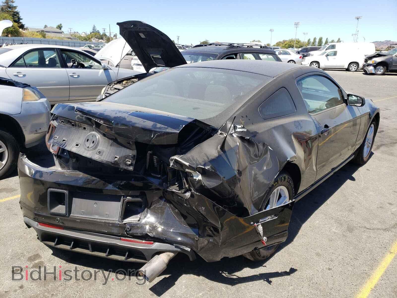 2014 FORD MUSTANG - VIN: 1ZVBP8AM0E5241407 - Фото 4
