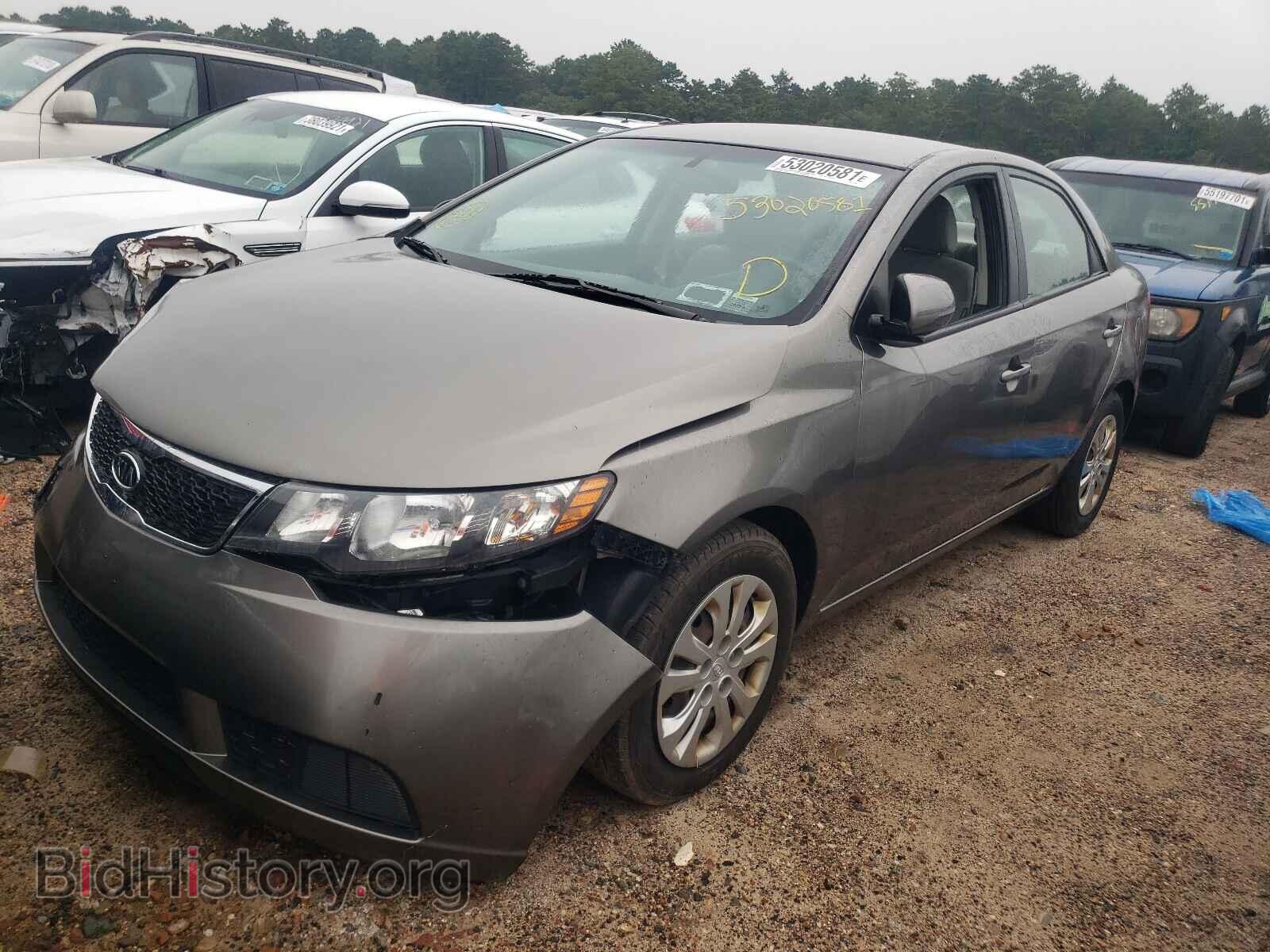 2012 KIA FORTE - VIN: KNAFU4A23C5543403 - Фото 2