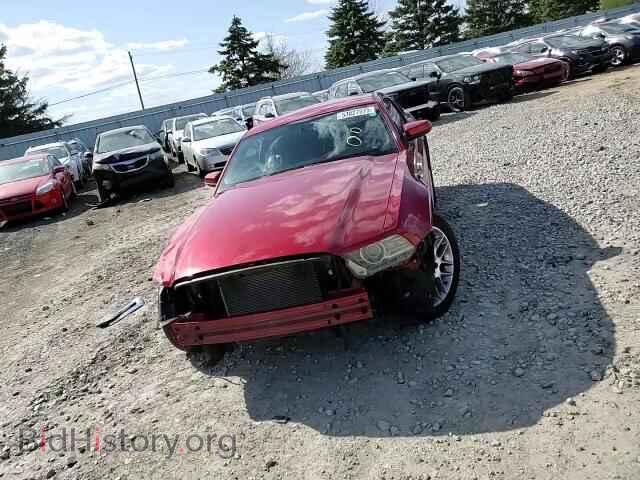 2013 FORD ALL Models - VIN: 1ZVBP8AM3D5200655 - Photo 10