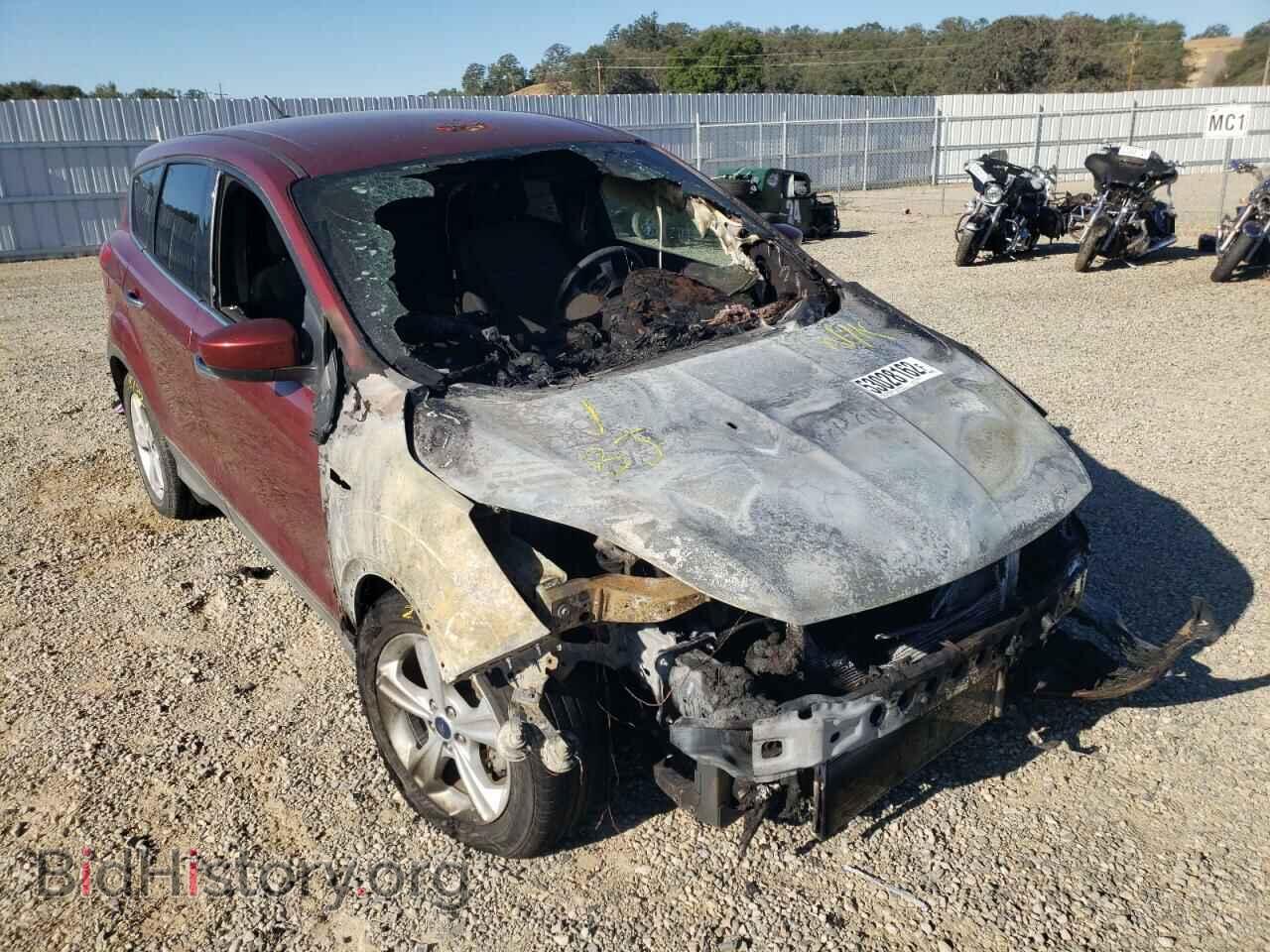 Фотография 1FMCU0GX2EUC03049 - FORD ESCAPE 2014