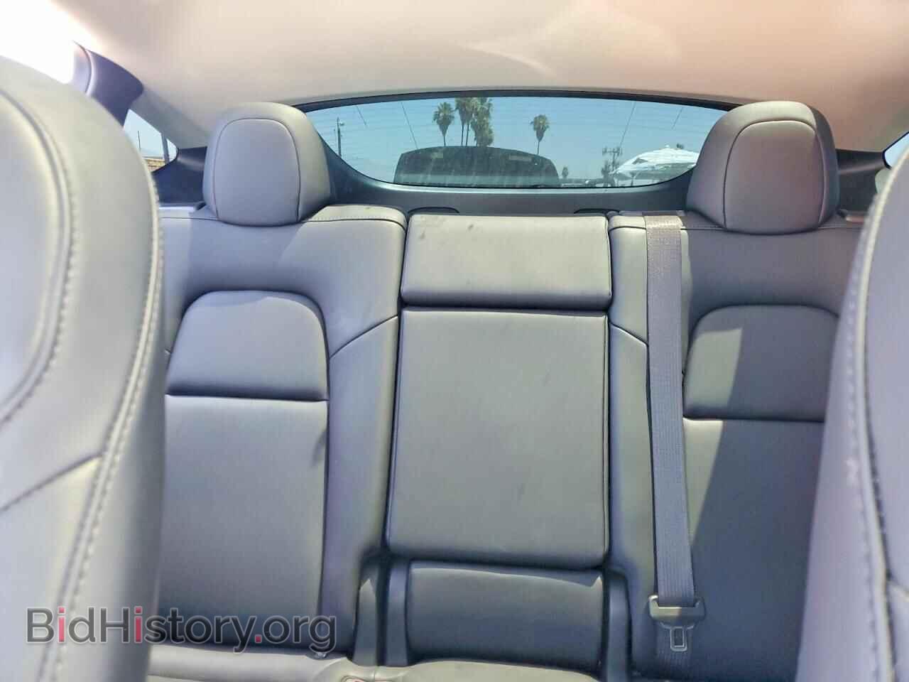 2024 TESLA MODEL Y - VIN: 7SAYGDED5RF057684 - Photo 10