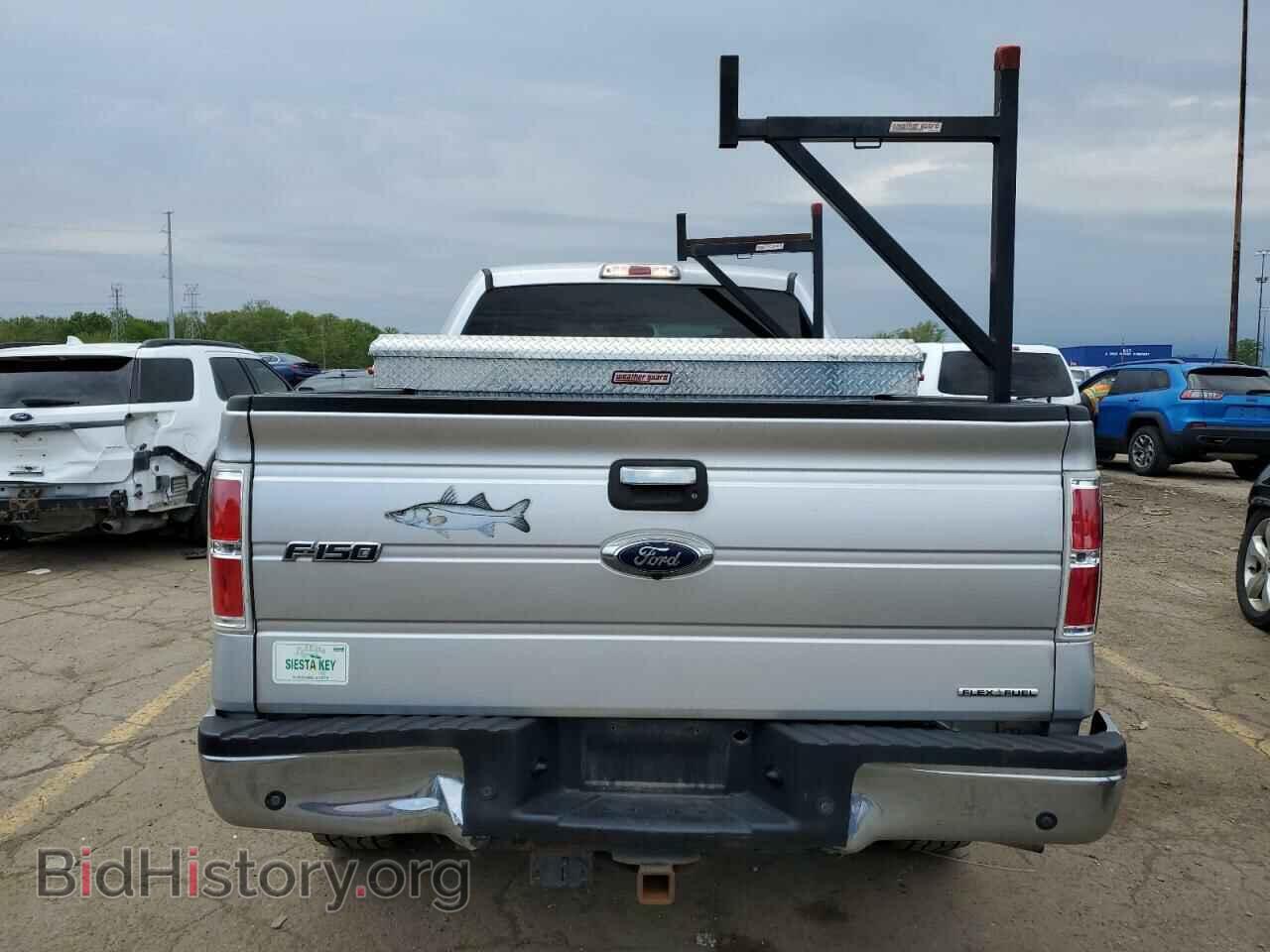 2013 FORD F-150 - VIN: 1FTFX1EF0DFD25243 - Фото 6