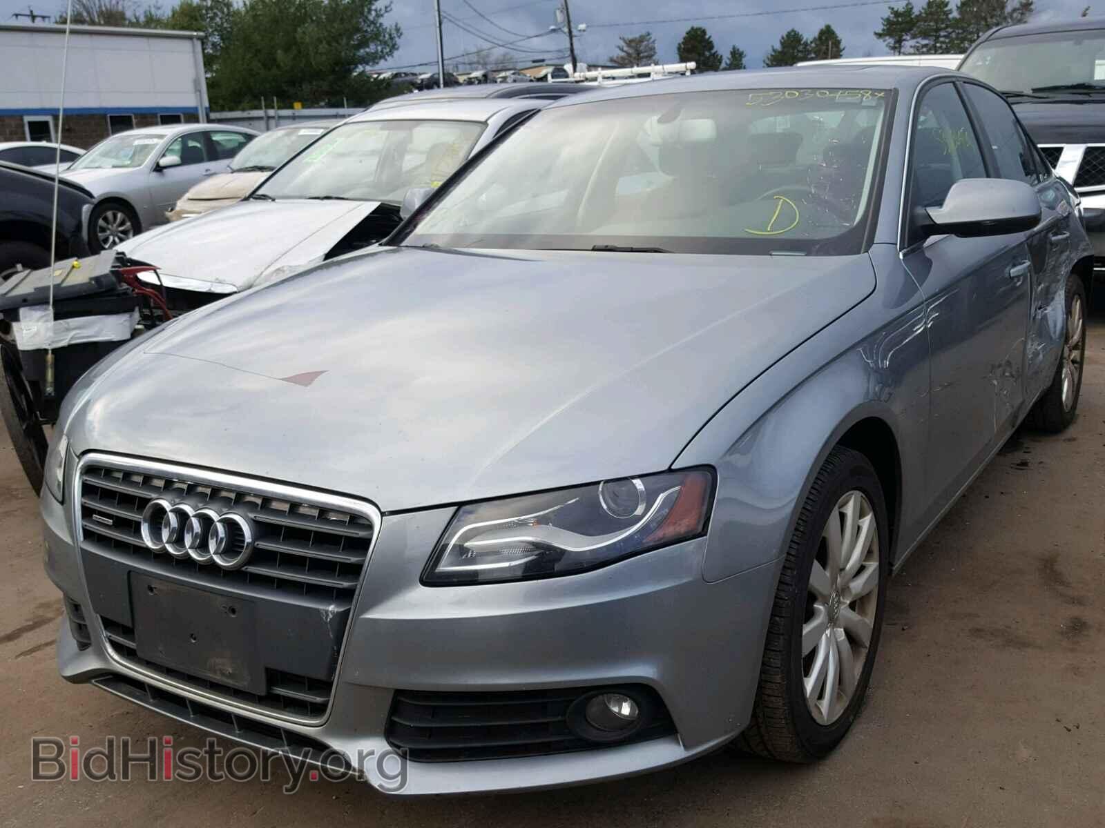 2010 AUDI A4 - VIN: WAUFFAFL3AN057858 - Фото 2