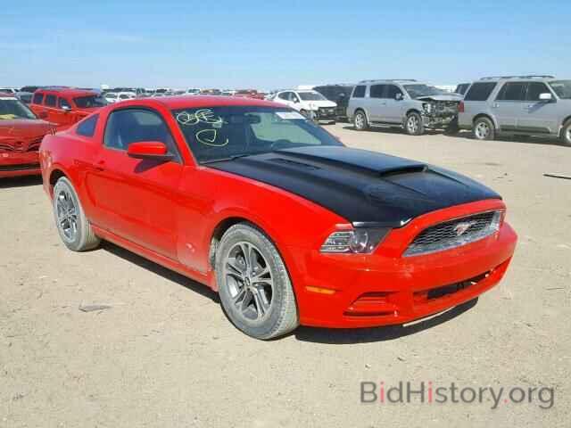 Photo 1ZVBP8AM4D5267541 - FORD MUSTANG 2013