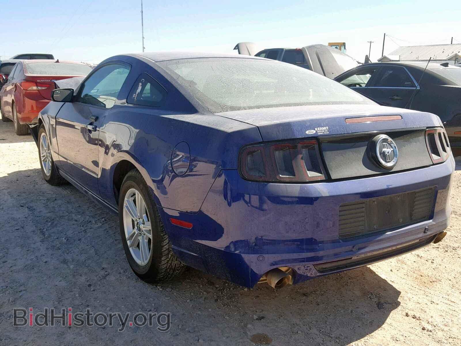 2013 FORD MUSTANG - VIN: 1ZVBP8AM4D5259293 - Фото 3