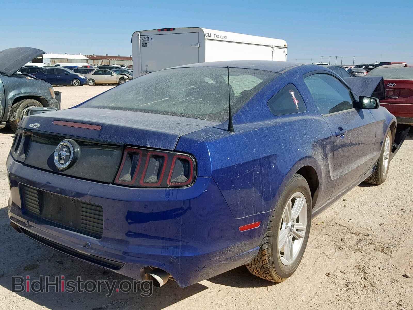 2013 FORD MUSTANG - VIN: 1ZVBP8AM4D5259293 - Фото 4