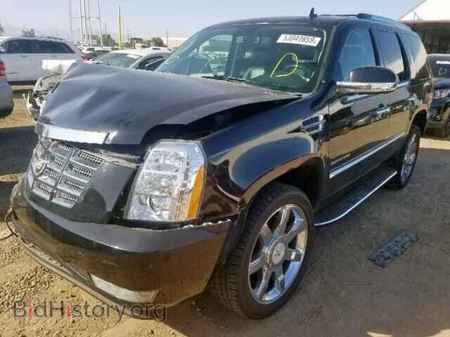 2010 CADILLAC ESCALADE L - VIN: 1GYUCBEF6AR100838 - Фото 2