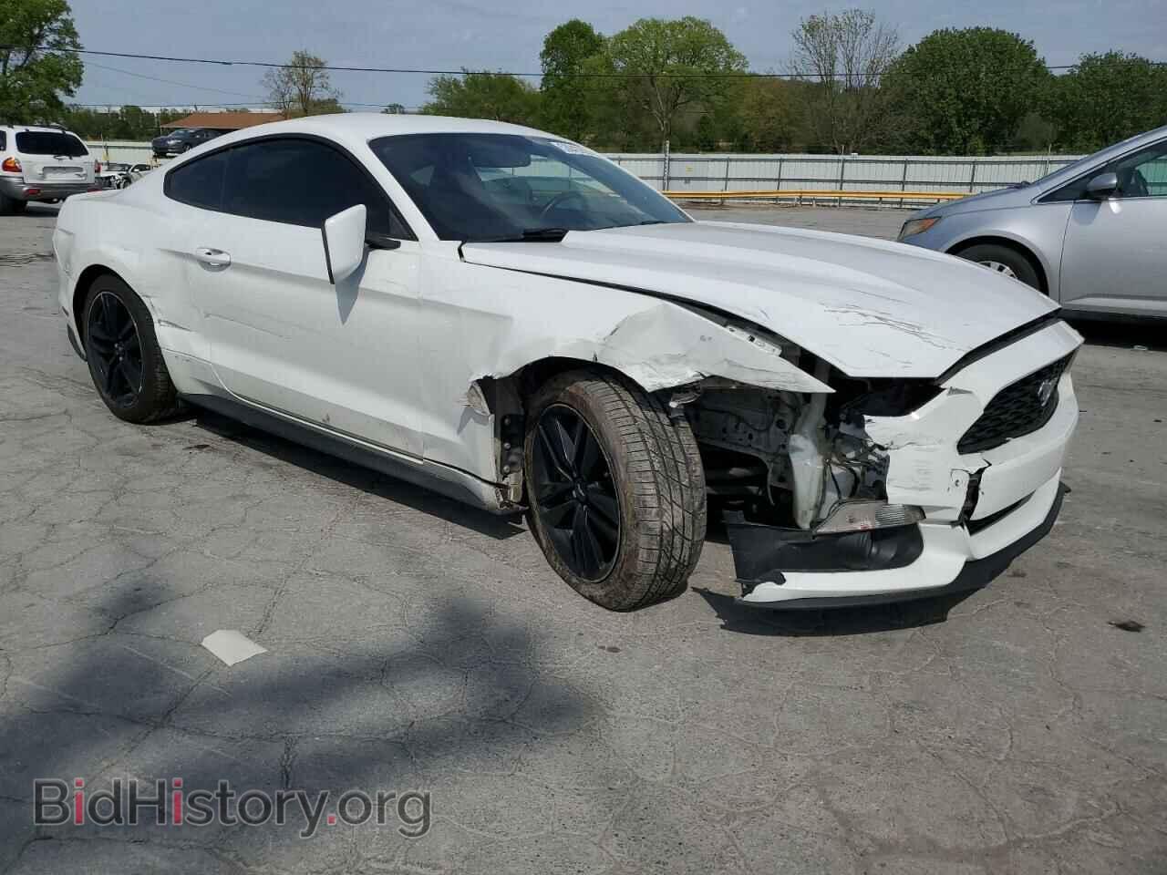 2017 FORD ALL Models - VIN: 1FA6P8TH4H5272867 - Photo 4