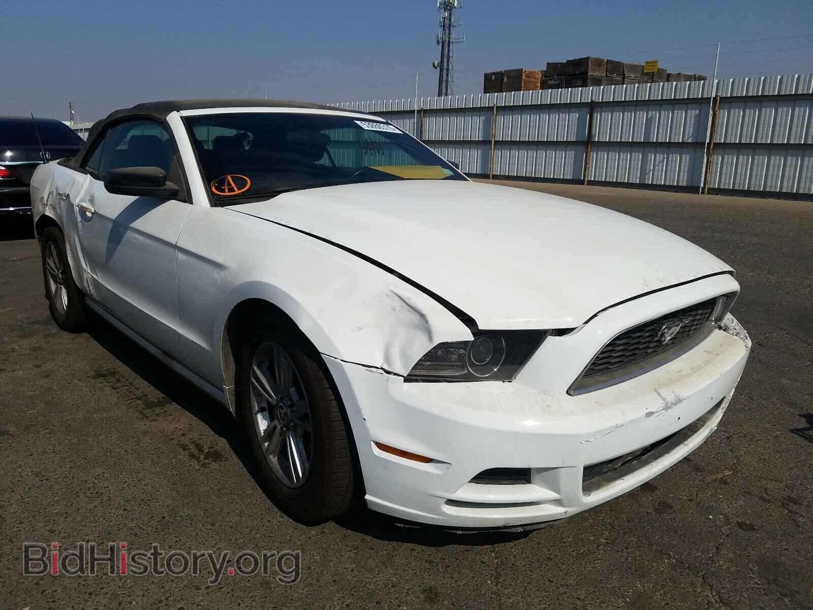 Photo 1ZVBP8EM3E5271978 - FORD MUSTANG 2014