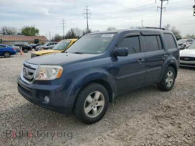 2009 Honda PILOT EXL, blue — VIN 5FNYF48529B031032, Copart