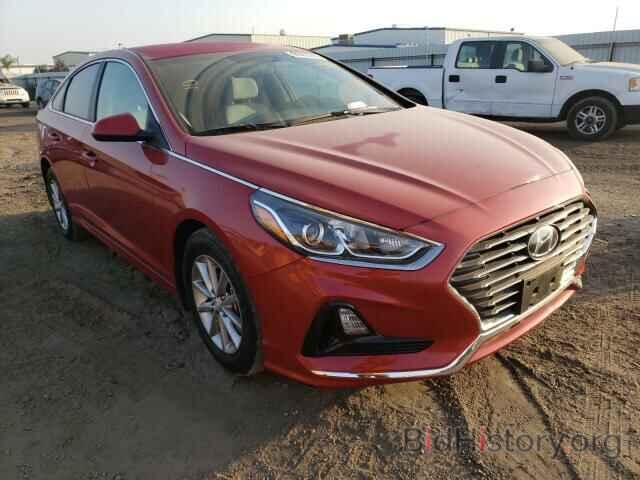 Photo 5NPE24AF6KH813679 - HYUNDAI SONATA 2019