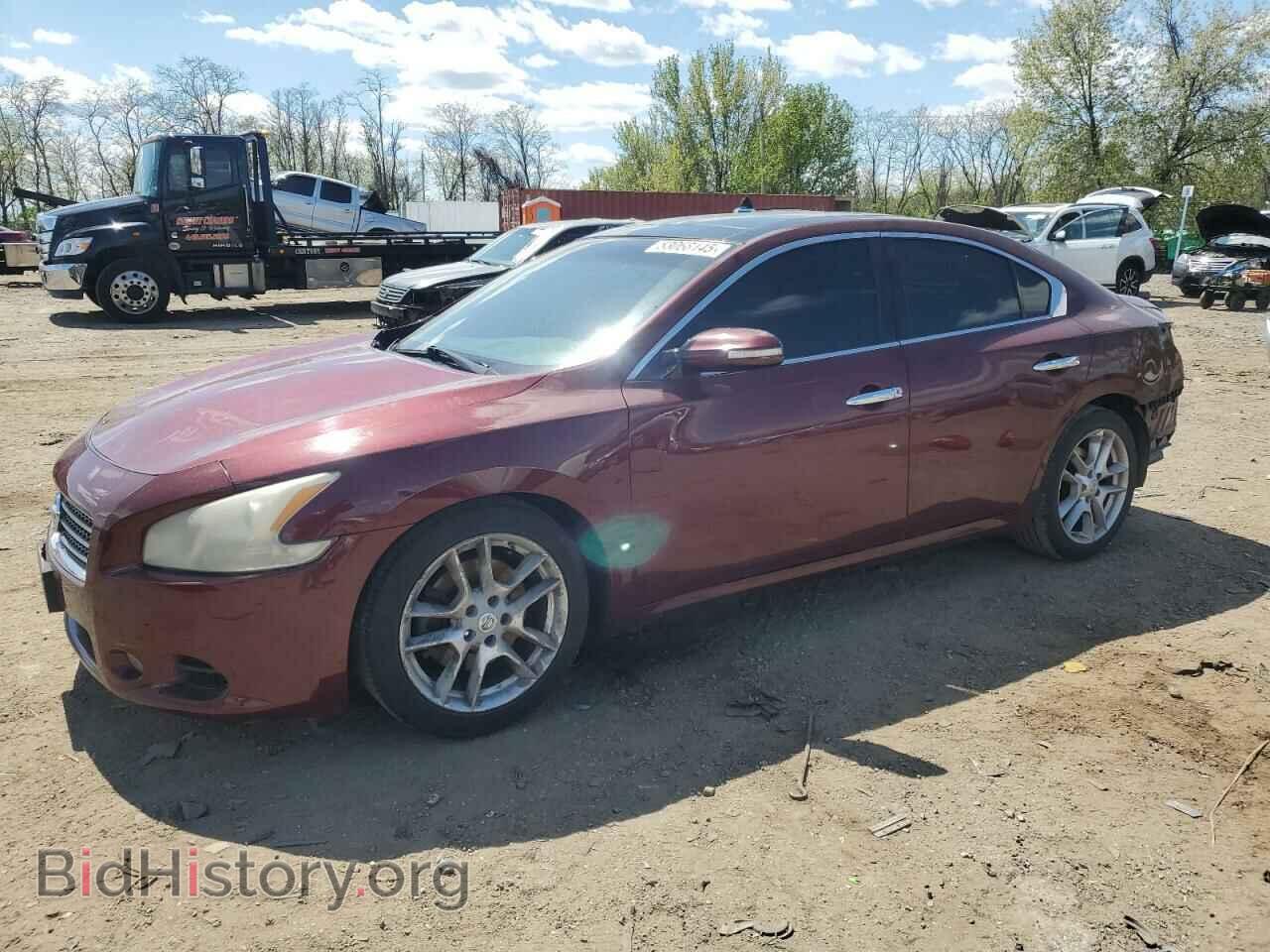 Фотография 1N4AA5AP2BC830190 - NISSAN MAXIMA 2011