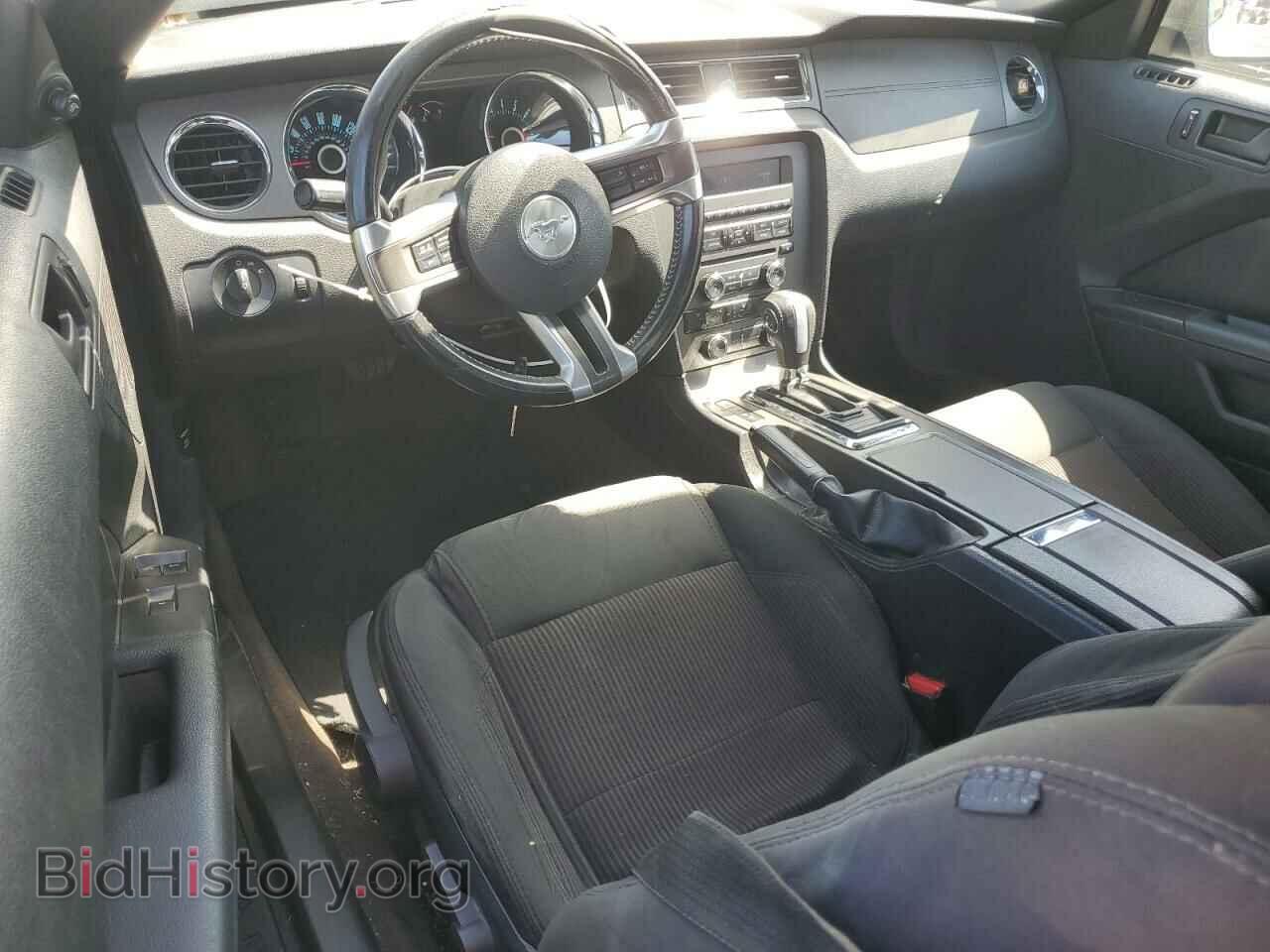 2013 FORD ALL Models - VIN: 1ZVBP8EM6D5260200 - Фото 8