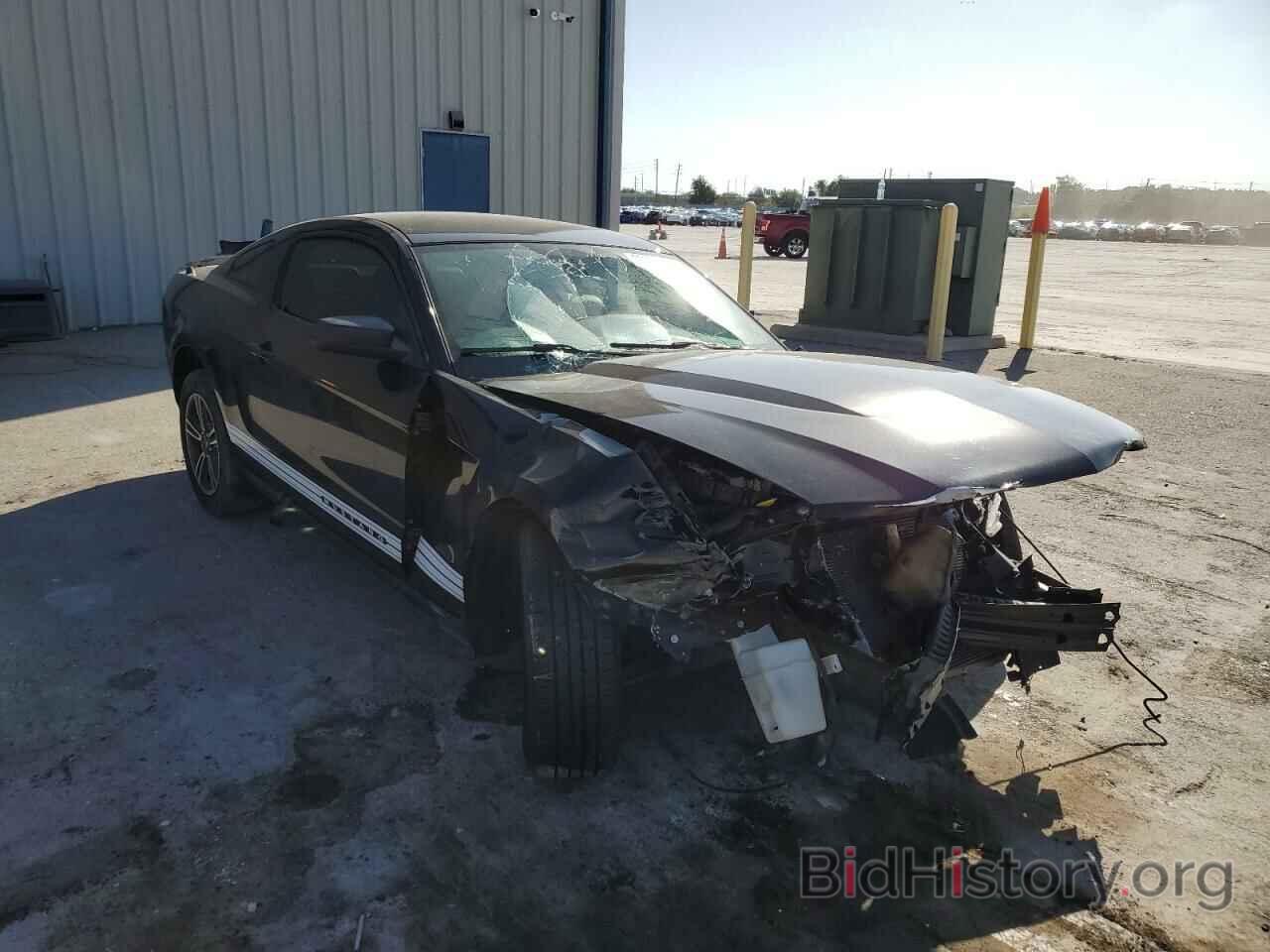 Photo 1ZVBP8AN7A5137466 - FORD MUSTANG 2010
