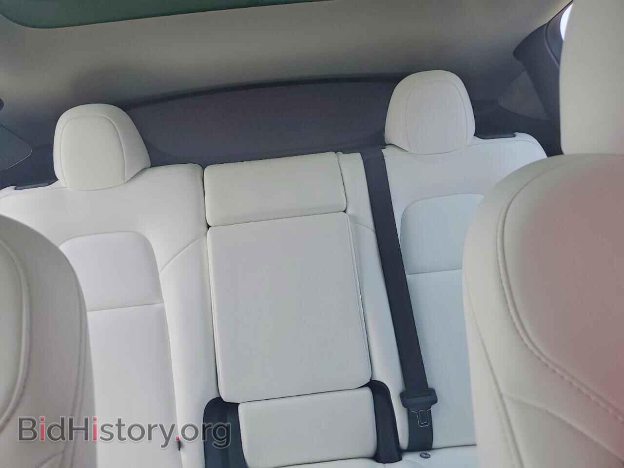 2024 TESLA MODEL Y - VIN: 7SAYGDED9RF205402 - Photo 10
