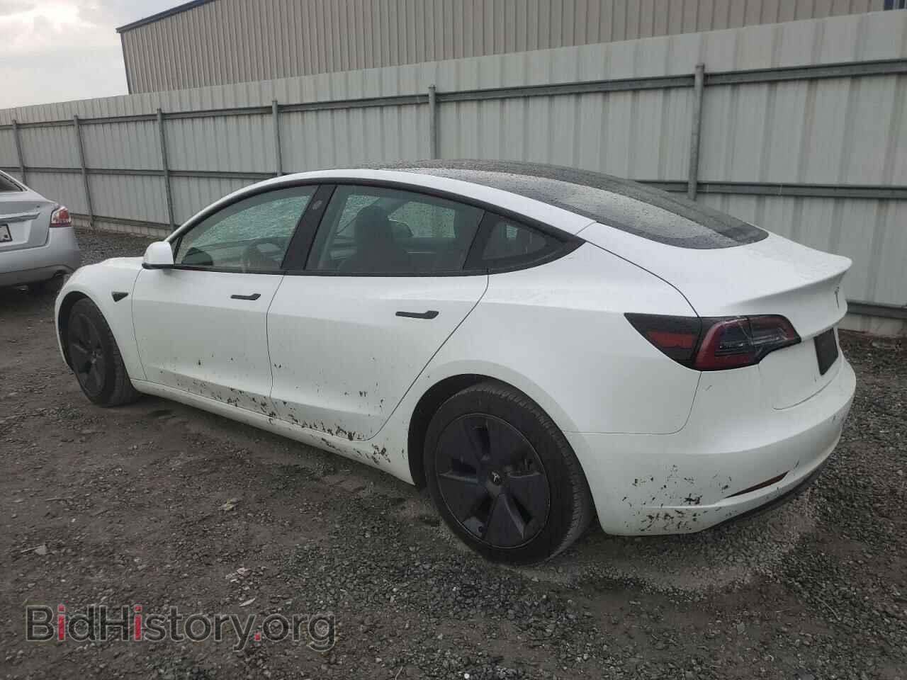 2023 TESLA MODEL 3 - VIN: 5YJ3E1EA8PF493542 - Фото 2