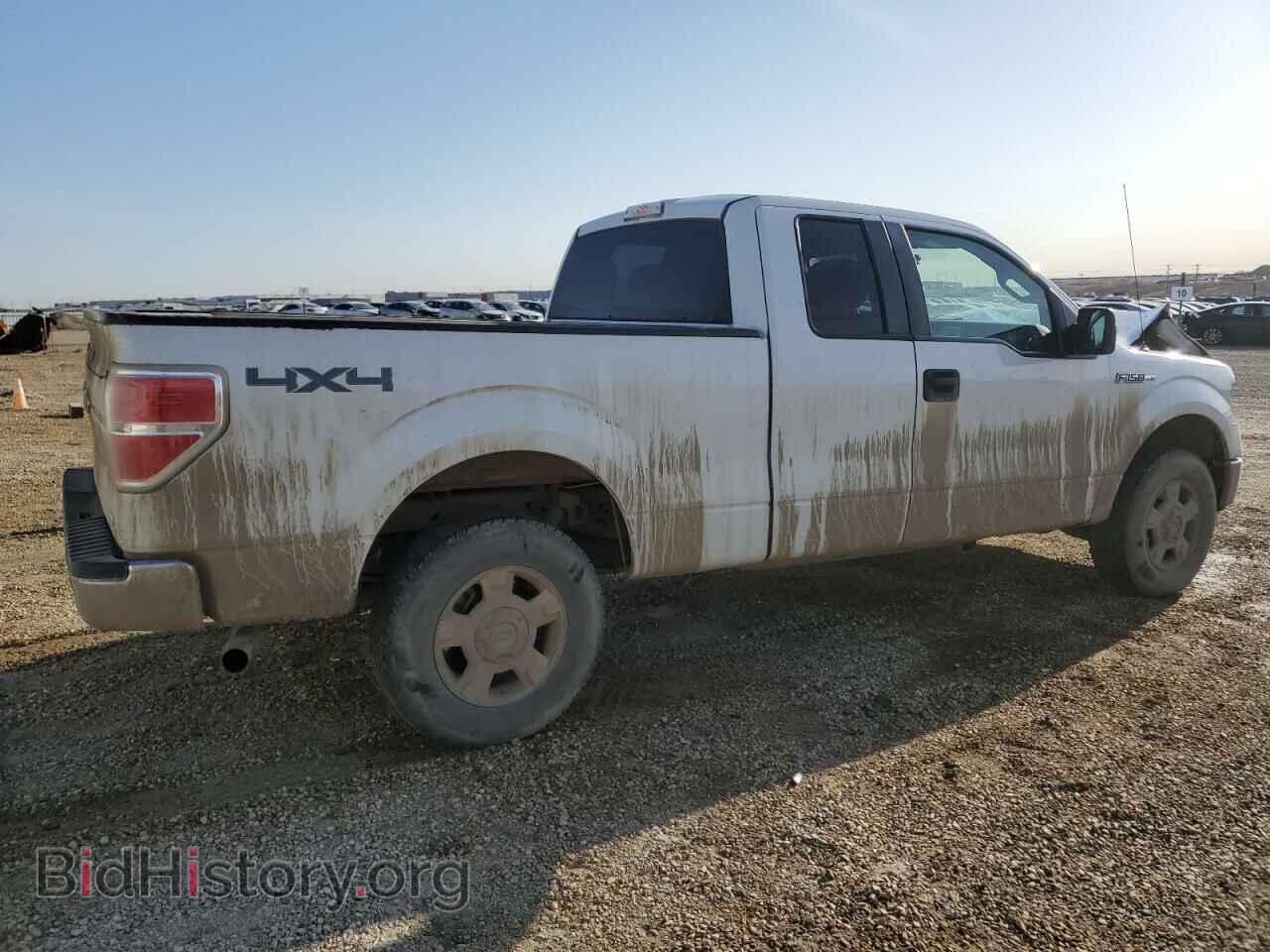 2013 FORD F-150 - VIN: 1FTFX1EF0DFC59079 - Фото 3