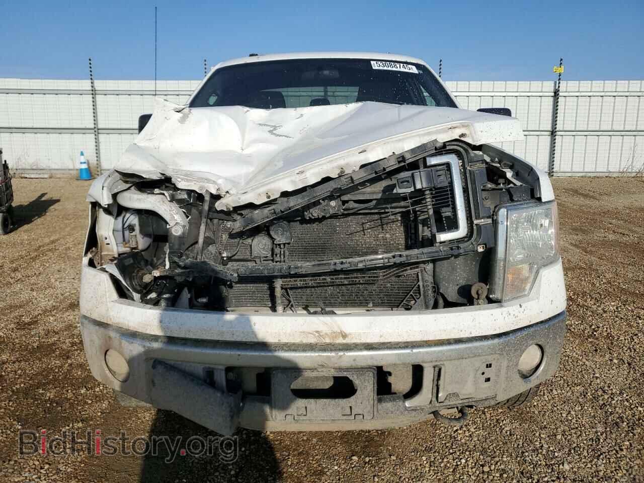 2013 FORD F-150 - VIN: 1FTFX1EF0DFC59079 - Фото 5