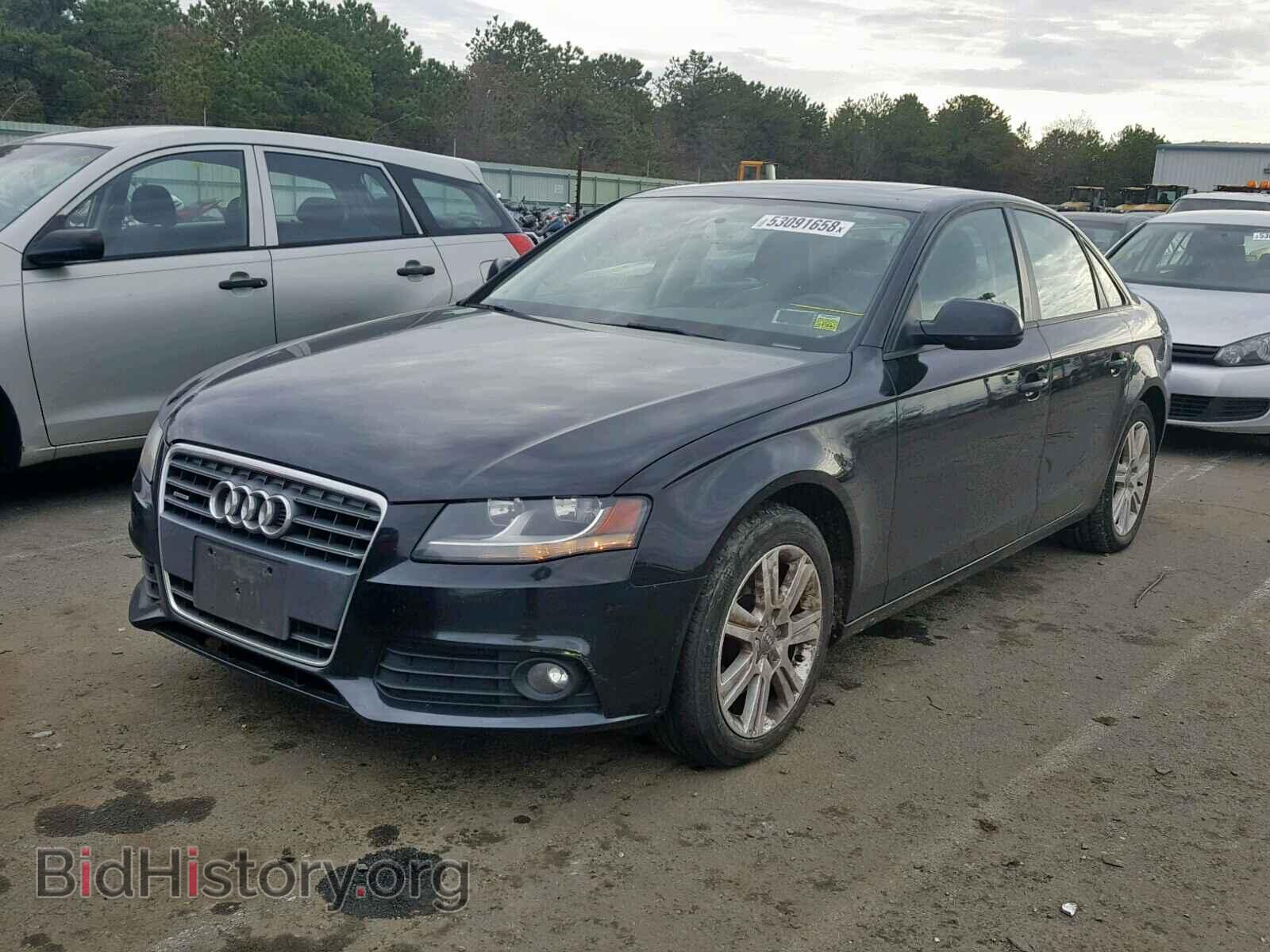 2010 AUDI A4 - VIN: WAUBFAFL7AN007530 - Фото 2