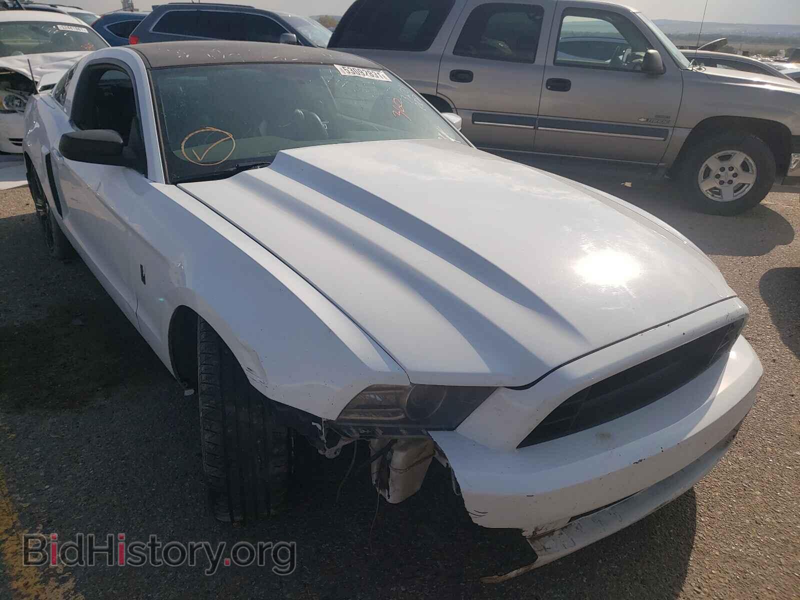 Photo 1ZVBP8CF2E5226129 - FORD MUSTANG 2014