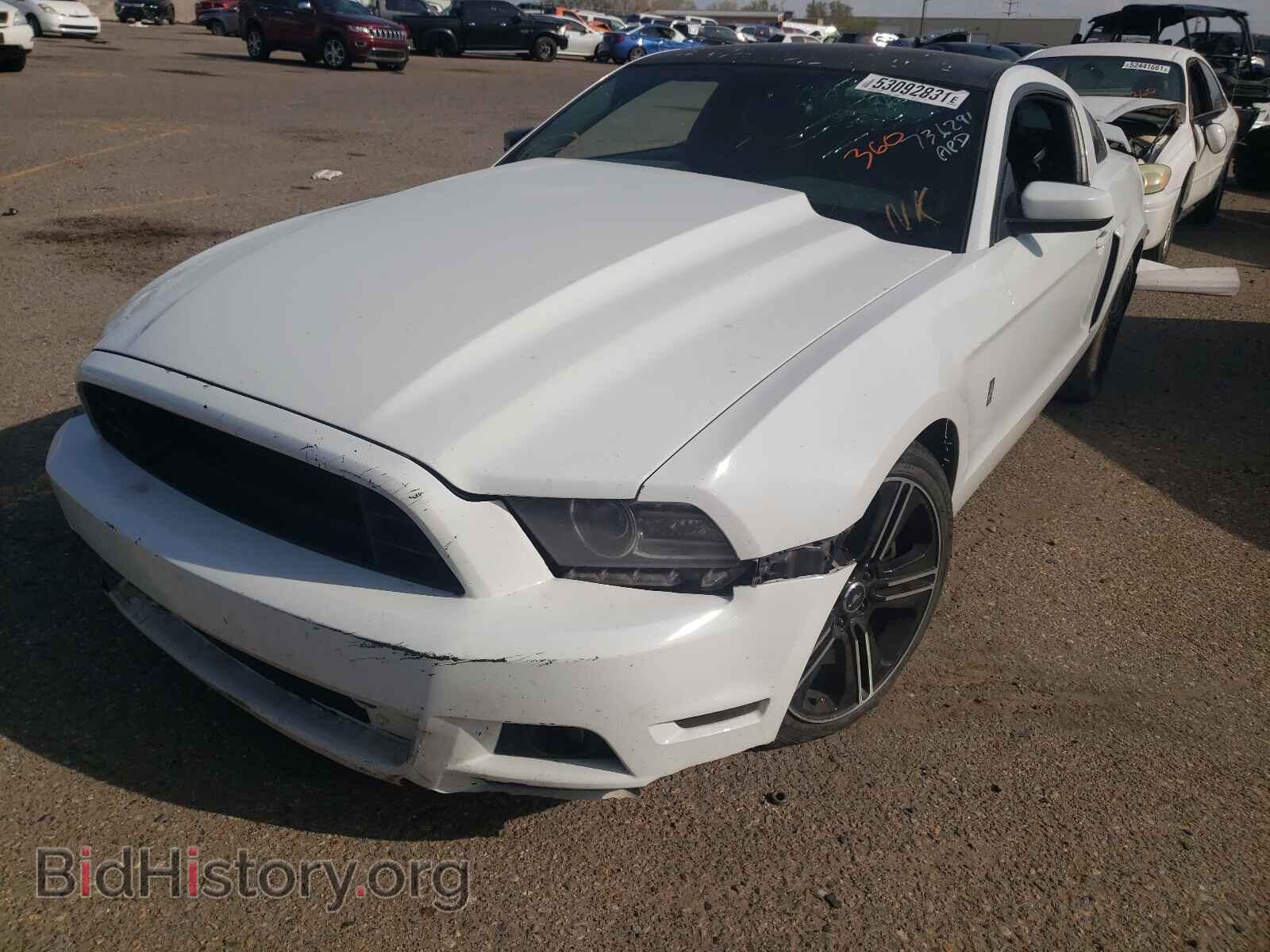 2014 FORD MUSTANG - VIN: 1ZVBP8CF2E5226129 - Фото 2