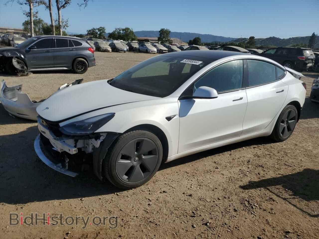 Photo 5YJ3E1EB2NF113777 - TESLA MODEL 3 2022