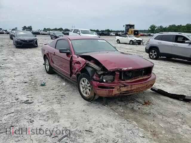 2007 FORD MUSTANG - VIN: 1ZVFT80N975247149 - Фото 13