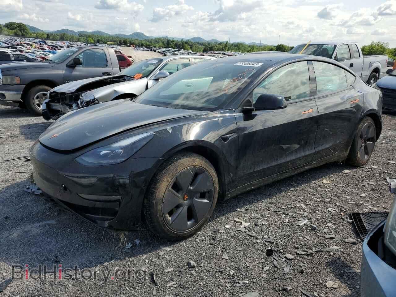 Photo 5YJ3E1EA5MF915164 - TESLA MODEL 3 2021