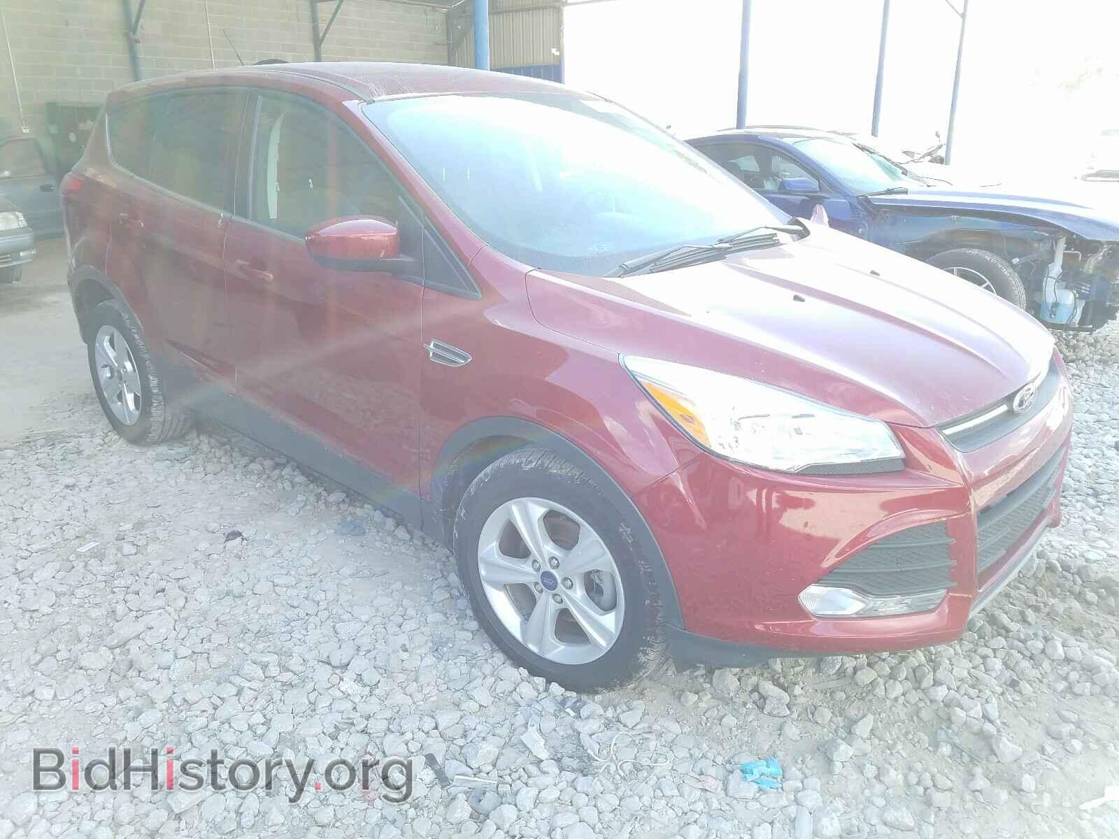 Фотография 1FMCU0GX9EUC67315 - FORD ESCAPE 2014