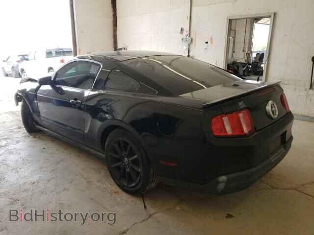 2010 FORD ALL Models - VIN: 1ZVBP8AN9A5120538 - Фото 2