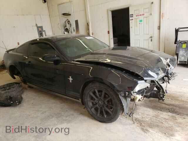2010 FORD ALL Models - VIN: 1ZVBP8AN9A5120538 - Фото 4