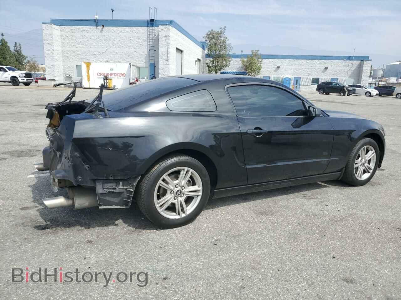2013 FORD ALL Models - VIN: 1ZVBP8AM0D5245066 - Фото 3