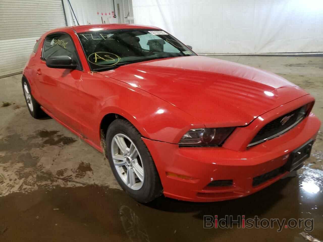 Photo 1ZVBP8AM9E5264250 - FORD MUSTANG 2014