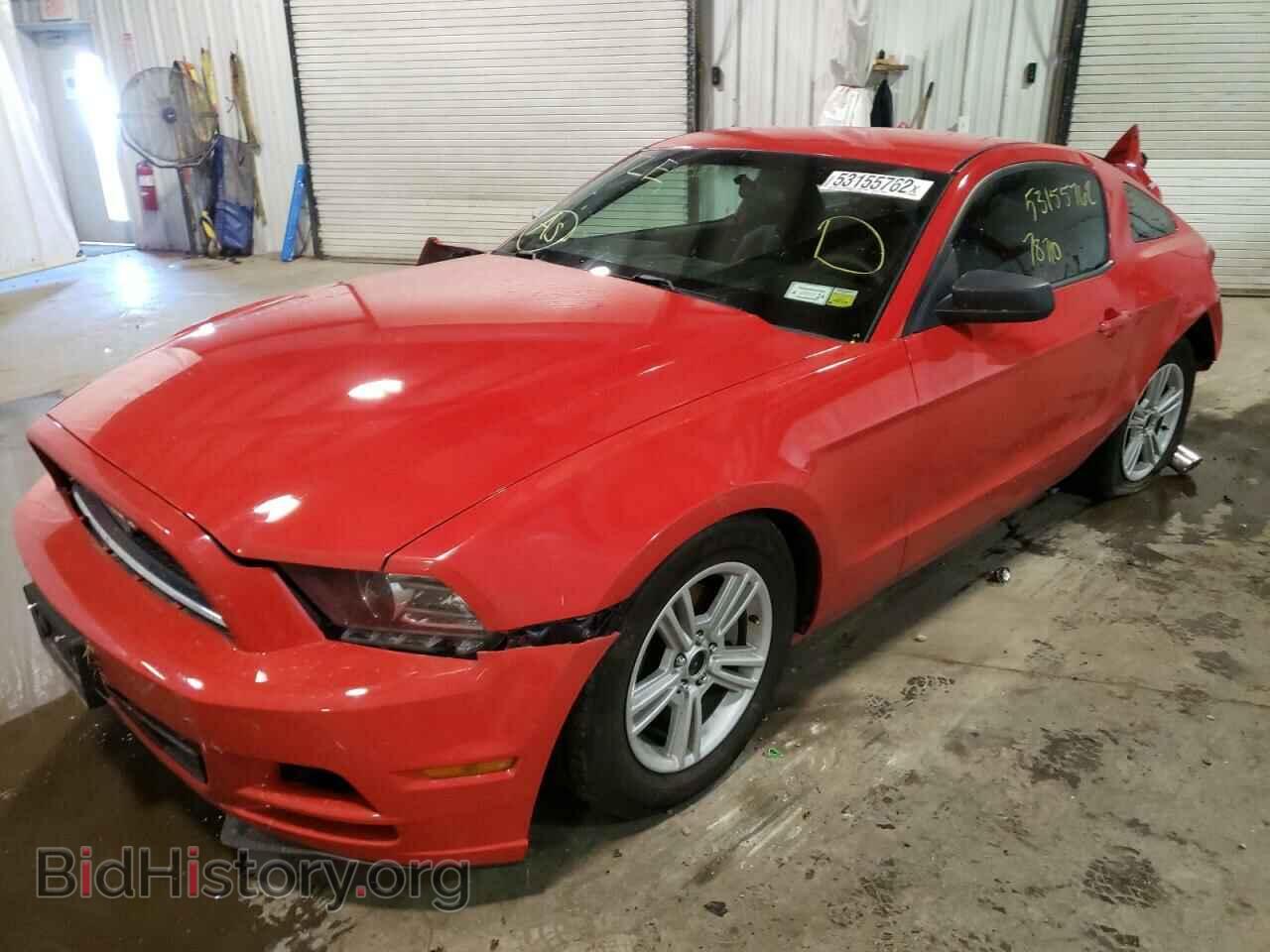 2014 FORD MUSTANG - VIN: 1ZVBP8AM9E5264250 - Фото 2