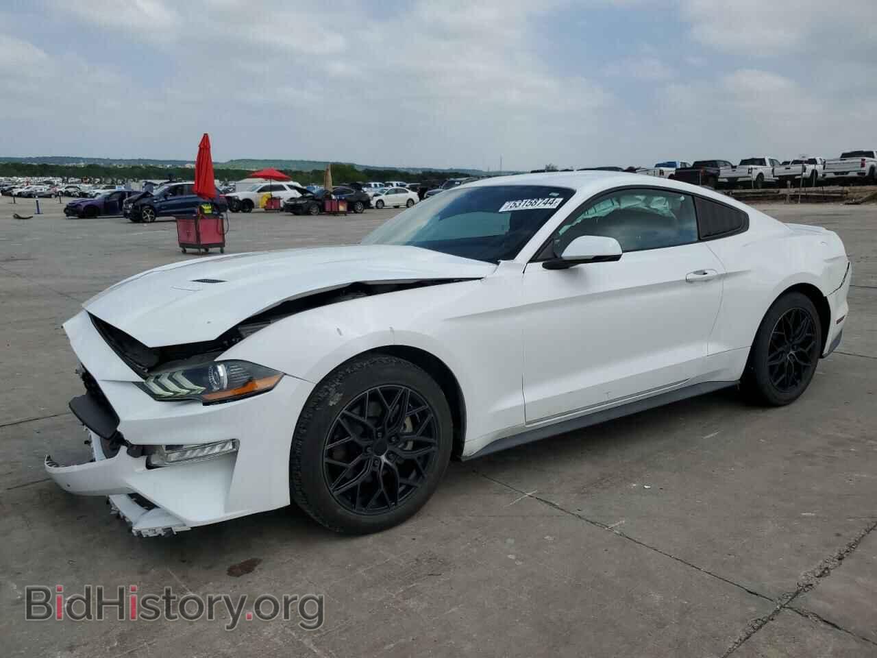 Фотография 1FA6P8TH8K5172102 - FORD ALL Models 2019