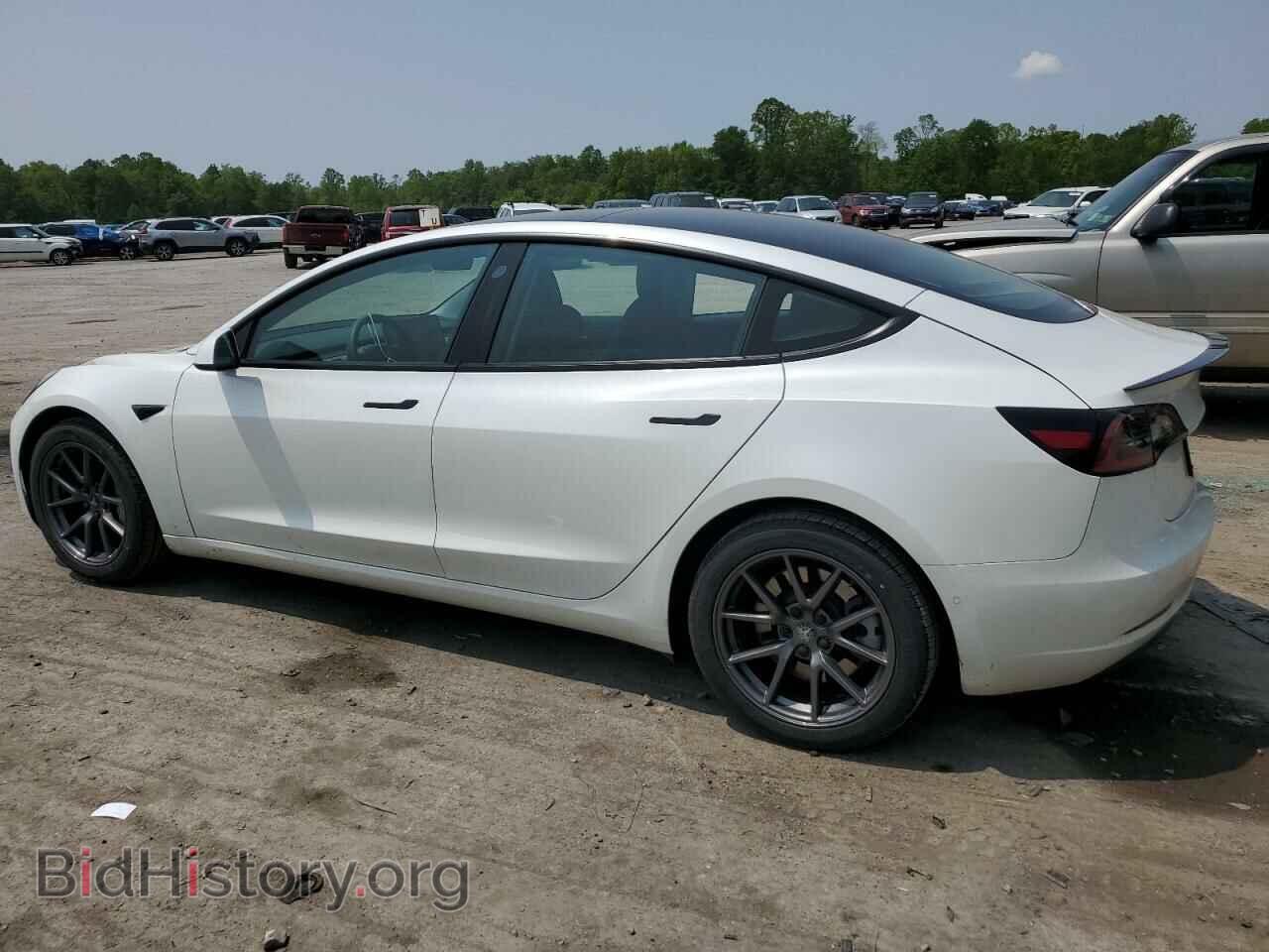 2021 TESLA MODEL 3 - VIN: 5YJ3E1EA1MF016494 - Photo 2