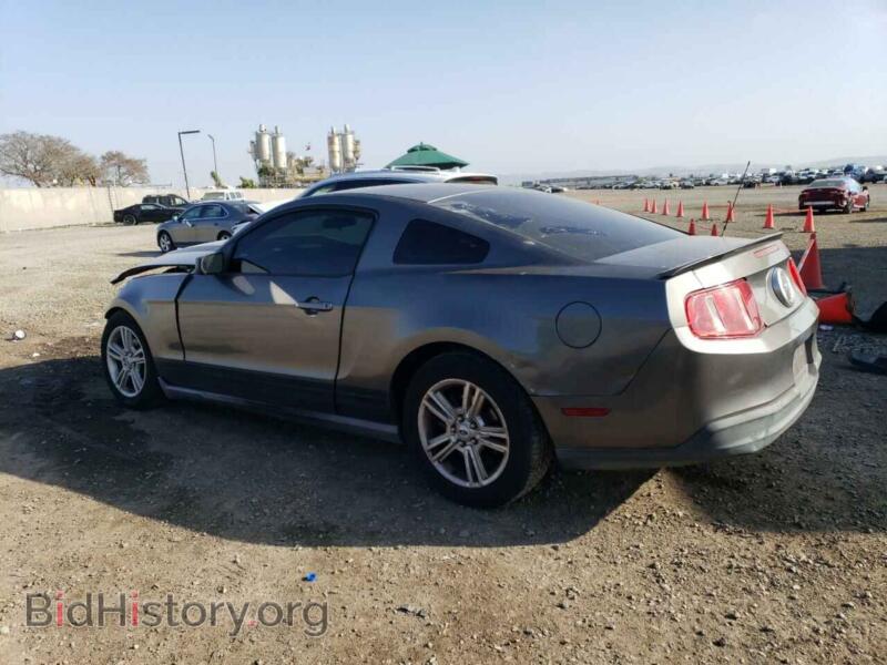 2010 Ford ALL MODELS (VIN 1ZVBP8AN8A5128503) — фото 2 из 13