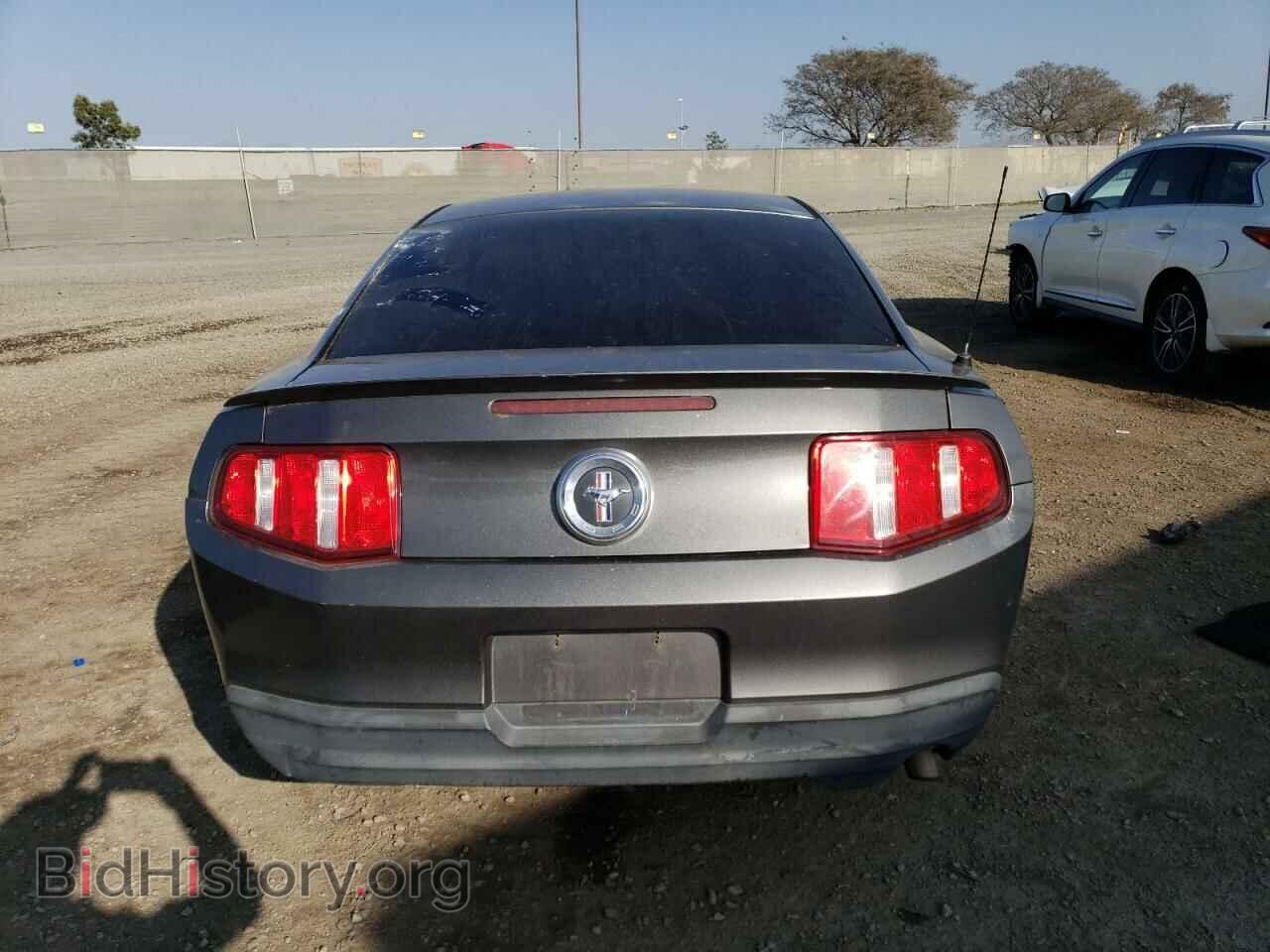 2010 FORD ALL Models - VIN: 1ZVBP8AN8A5128503 - Photo 6