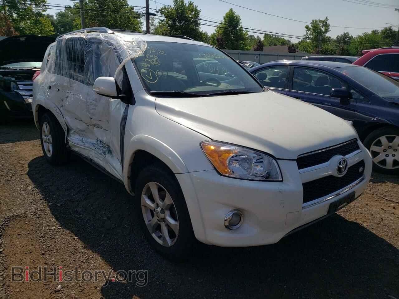 Photo 2T3DK4DV7AW015553 - TOYOTA RAV4 2010