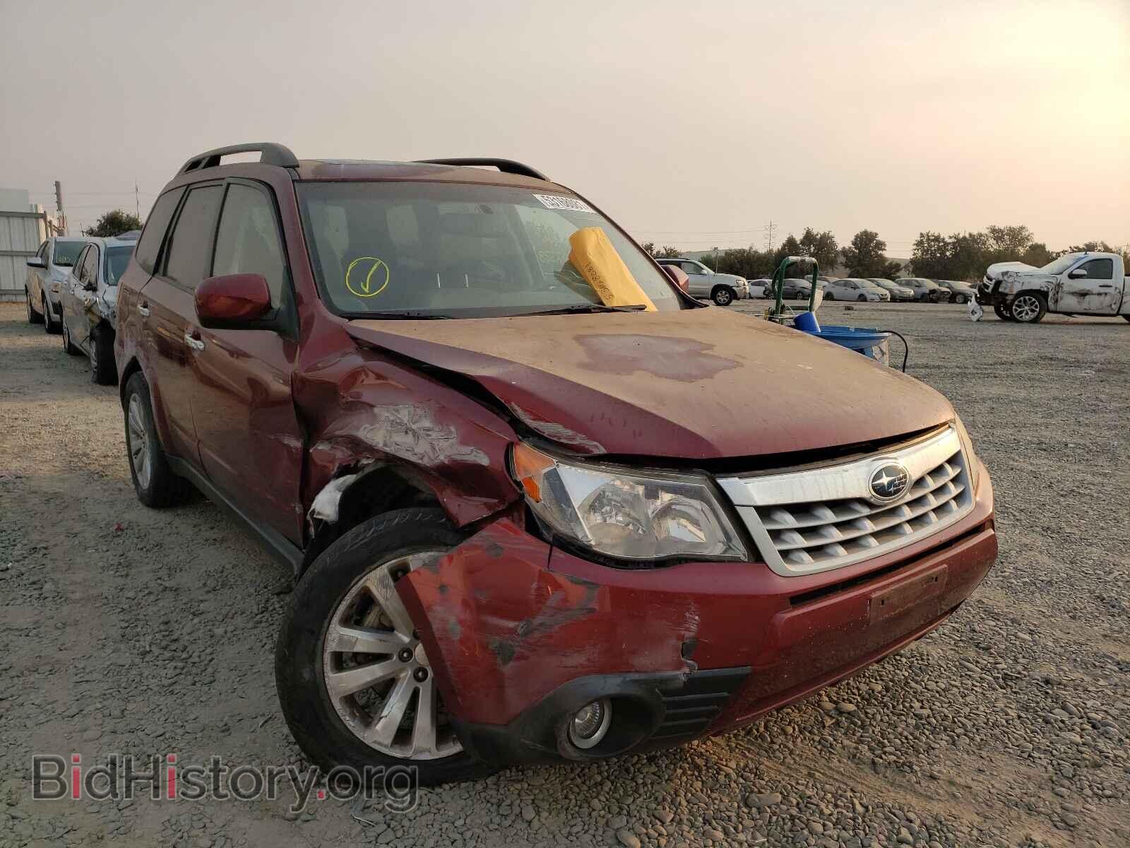 Photo JF2SHAFC8BH733900 - SUBARU FORESTER 2011