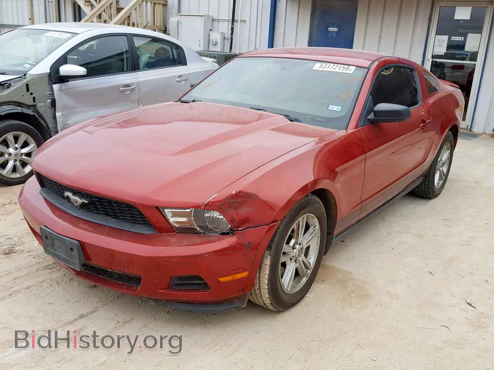 2011 FORD MUSTANG - VIN: 1ZVBP8AM2B5125461 - Фото 2