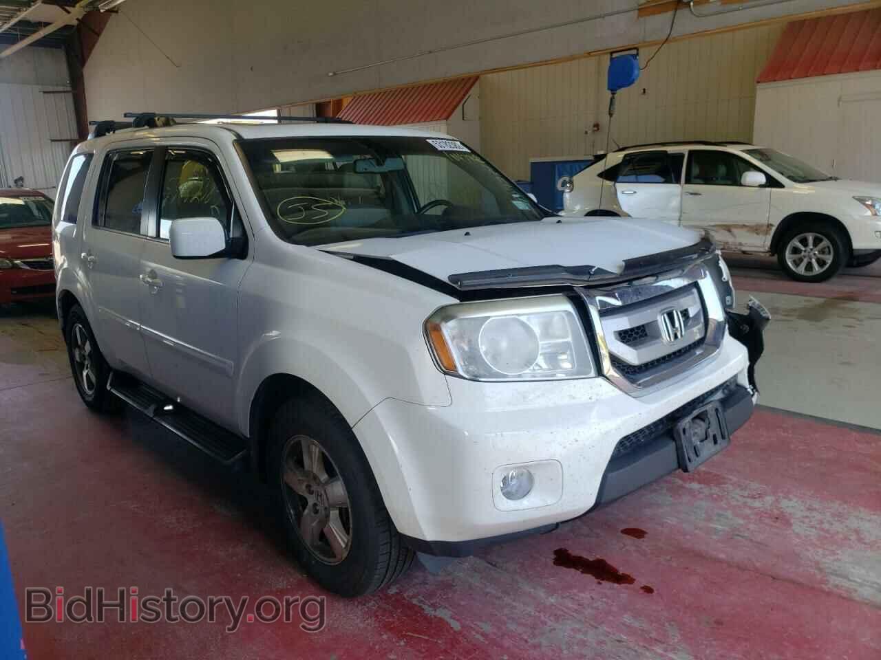 Фотография 5FNYF4H51BB104736 - HONDA PILOT 2011