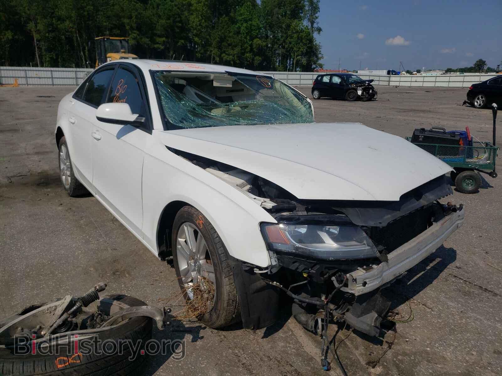 Фотография WAUBFAFL2BN010854 - AUDI A4 2011