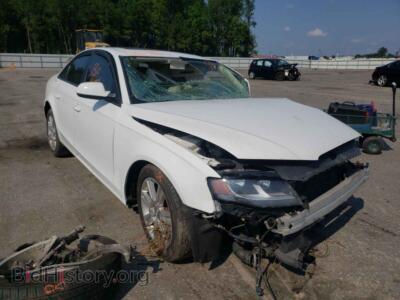 2011 Audi A4 A4 Premium, white — VIN WAUBFAFL2BN010854, Copart