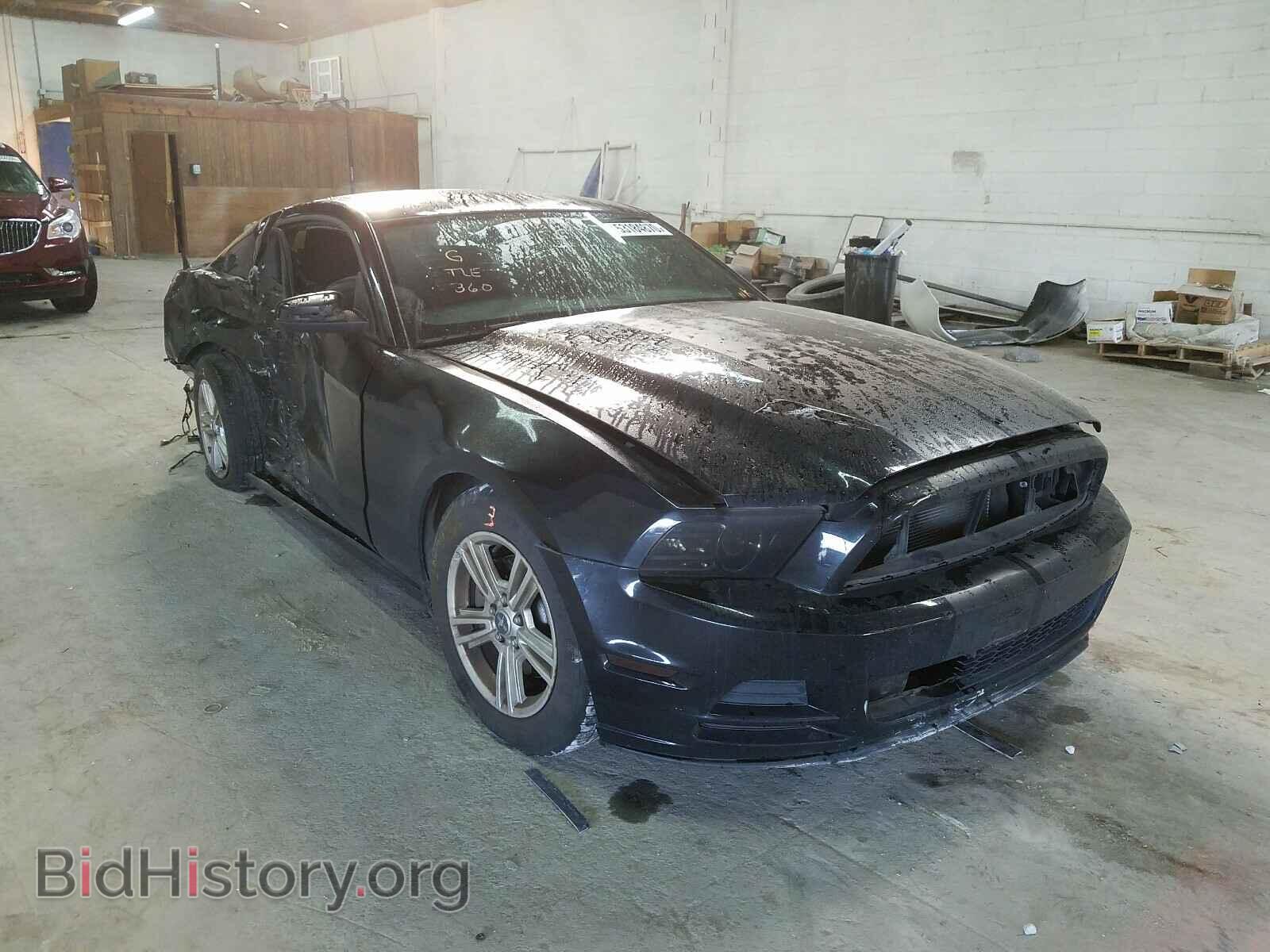 Photo 1ZVBP8AM8E5330013 - FORD MUSTANG 2014