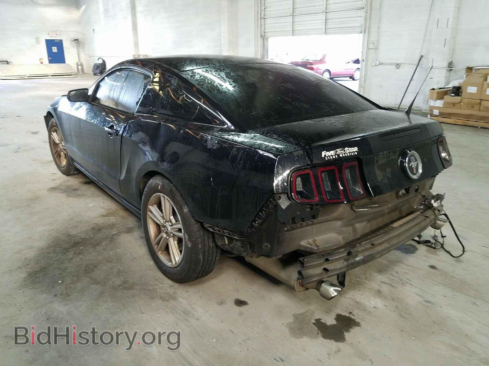 2014 FORD MUSTANG - VIN: 1ZVBP8AM8E5330013 - Фото 3